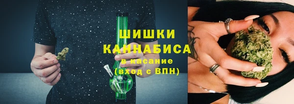 сатива Верея