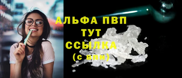 сатива Верея