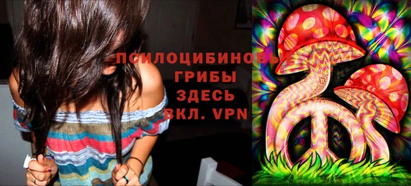 стафф Бронницы