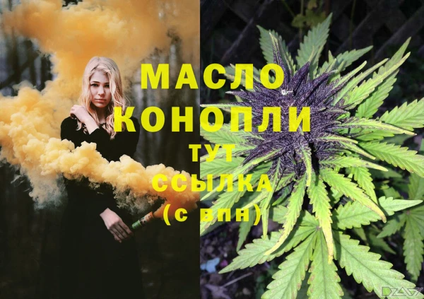 сатива Верхний Тагил