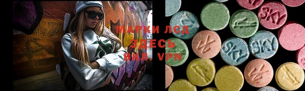 сатива Верея