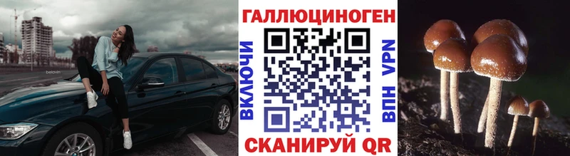 Псилоцибиновые грибы ЛСД  Щёлково 